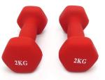 1kg 2kg 3kg 4kg 5kg 6kg 7kg 8kg 9kg 10kg Women Fitness Vinyl Dipping Dumbbell