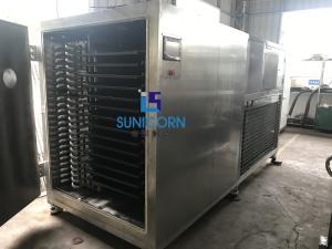China SS 304 Commercial Freeze Drying Equipment , Commercial Food Freeze Dryer wholesale