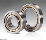 Chrome Steel / Stainless Steel Cylindrical Roller Bearing Single Row NU319ecmc3