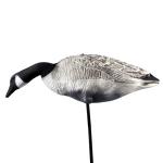 Foldable EVA Canada Foam Goose Decoys Full Size / Full Body Shooting Decoys