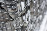 Gabion Box Wire Fencing Product Europe Market High Quality 200x100x50cm Welded
