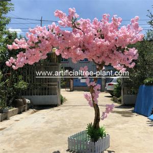 China Large Artificial Japanese Style Cherry Blossom Tree 2.5m Height Wind Resistant wholesale