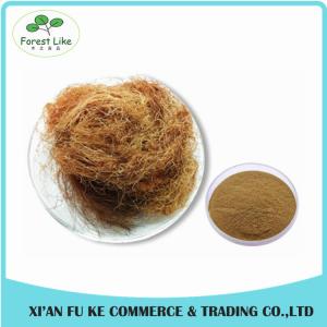 China Manufacturer Direct Price Organic Corn Stigma Extract wholesale