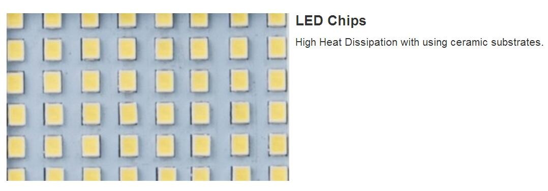 IP65 10w 700lm Stadium Waterproof Led Flood Lights With Tempered Glass , Black Aluminum Body