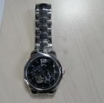 RoHs Automatic Mechanical Watch , 21mm Band Luxury Mechanical Watches