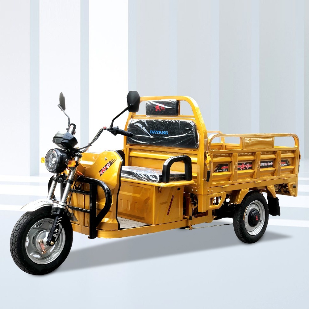 Customized Color Adults 3 Wheel Electric Tricycle with 72V Motor Power and 3.75-12 Tire