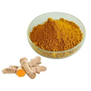 China Curcumin 95% Turmeric Extract Powder For Healthcare Supplement Natural wholesale