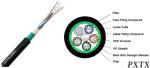 Outdoor Loose Tube Stranded Direct Buried Amoured Fiber Optic Cable GYTS