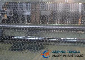 China Hexagonal Wire Netting With Corrosion Resostamce &amp; Oxdation Resistance wholesale