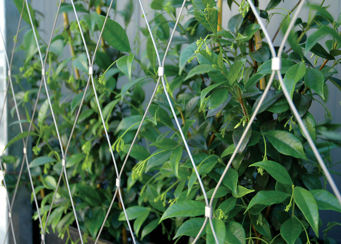 Architectural Surface Stainless Steel Wire Rope Mesh Green Plant Climbing Wall Netting