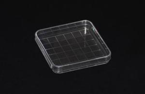 China Plastic Petri Dish 100X15mm square shape wholesale