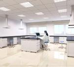 Modern Design Laboratory Island Bench Laboratory Equipment Furniture Table