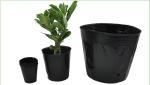 44cm Pumpkin Greenhouse Plastic Nursery Pot 10 Gallon Hydroponic Bowl
