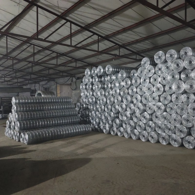 Custom Attractive Type Welded Wire Mesh Fencing Iron Wire Mesh with Anti-corrosion