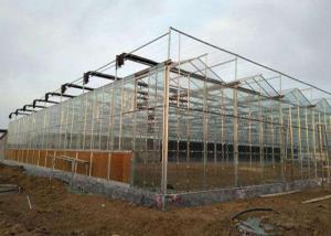 China 10m Single Span Greenhouse wholesale