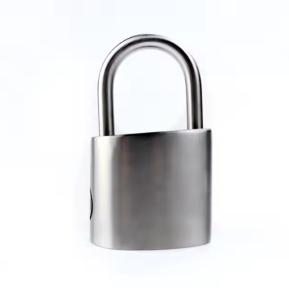 China Heavy Duty All Weather Padlocks Keyed Alike Stainless Steel 50mm wholesale