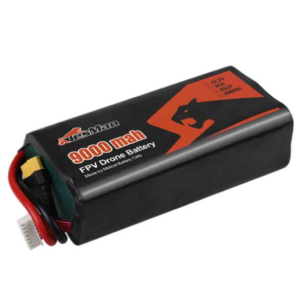 Compact Size Molicel 6S2P P45B Battery Pack INR-21700 9000mAh 5C Discharge Rate