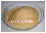 Animal Feed Grade Dried Brewer Fodder Yeast Powder