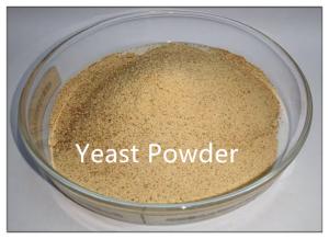 China Yeast Powder 40% Protein Feed Additives Raw Material for Chickens on sale