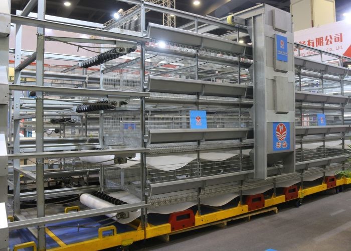 Hot Dip Galvanized Chicken Battery Cages Layer Farming Easy Daily Management