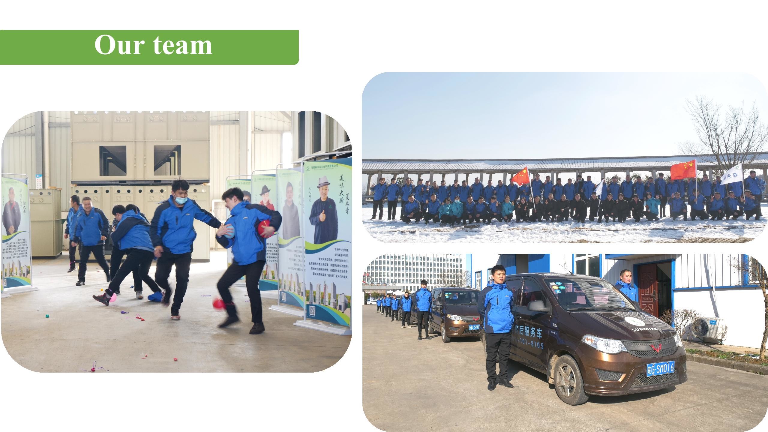 0.75Kw 220V Vertical Grain Machinery Grain Bucket Elevator For Rice Mill