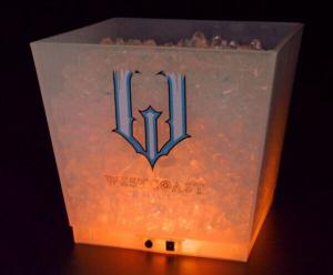 China 12L LED Glow Ice Buckets plastic cooler box wholesale