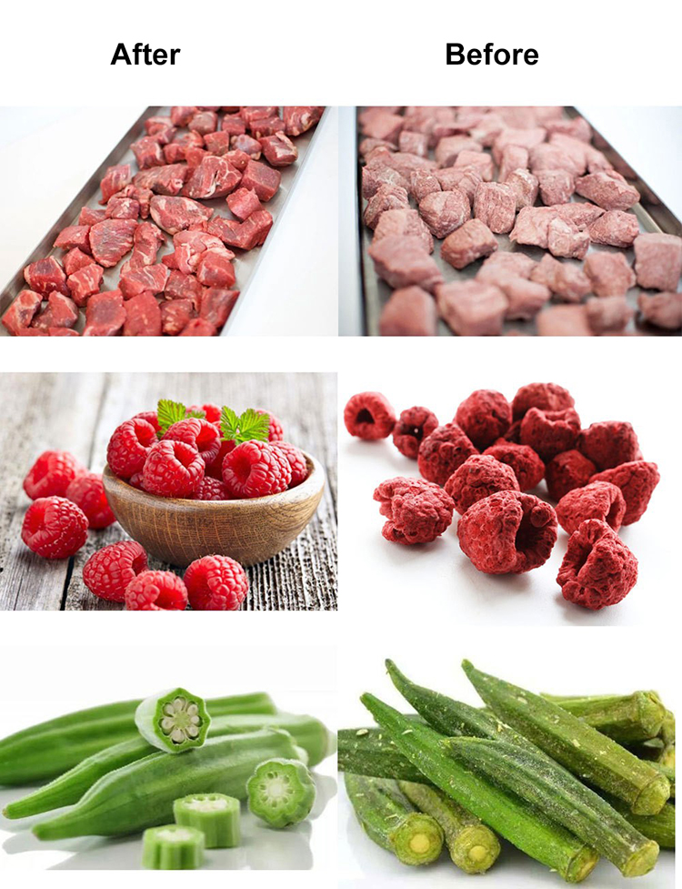 Brand New Multi-Function Food Factory Drying Turnip Large Freeze Dryer