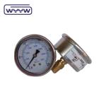 Industrial Brass Back Mount Oil Filled Manometer For Glycerine