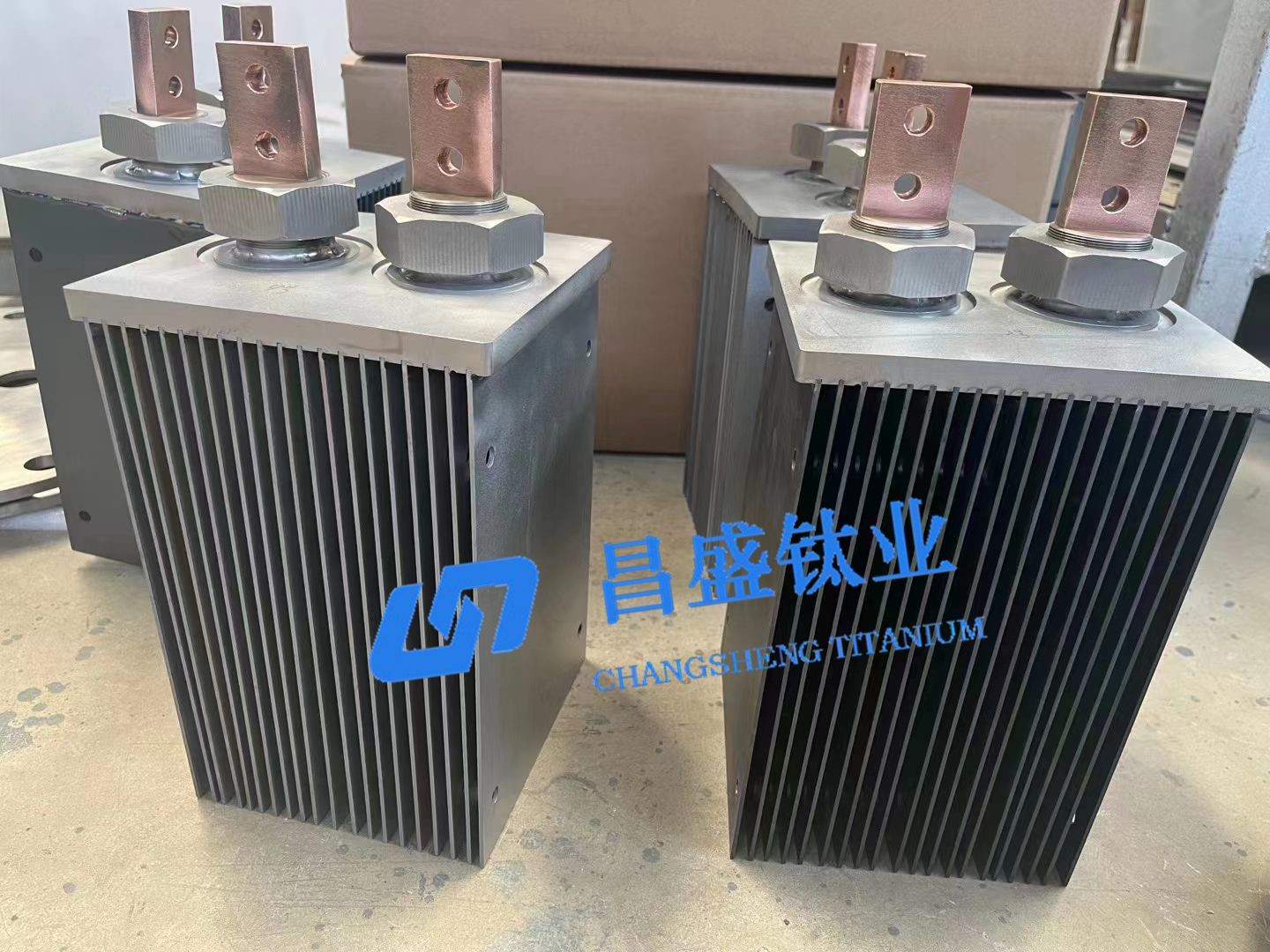 RuO2-IrO2 Coating Gr1 Titanium Electrode For Sodium Hypochlorite Generator Swimming Pool