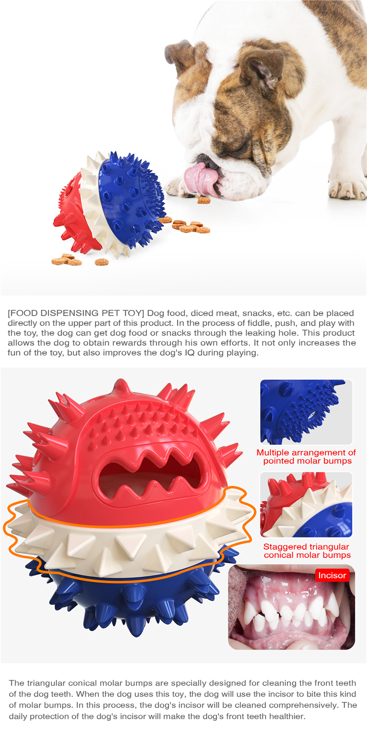 Personalized Flexible Dog Molar Bite Toy For Cleaning Pet Teeth