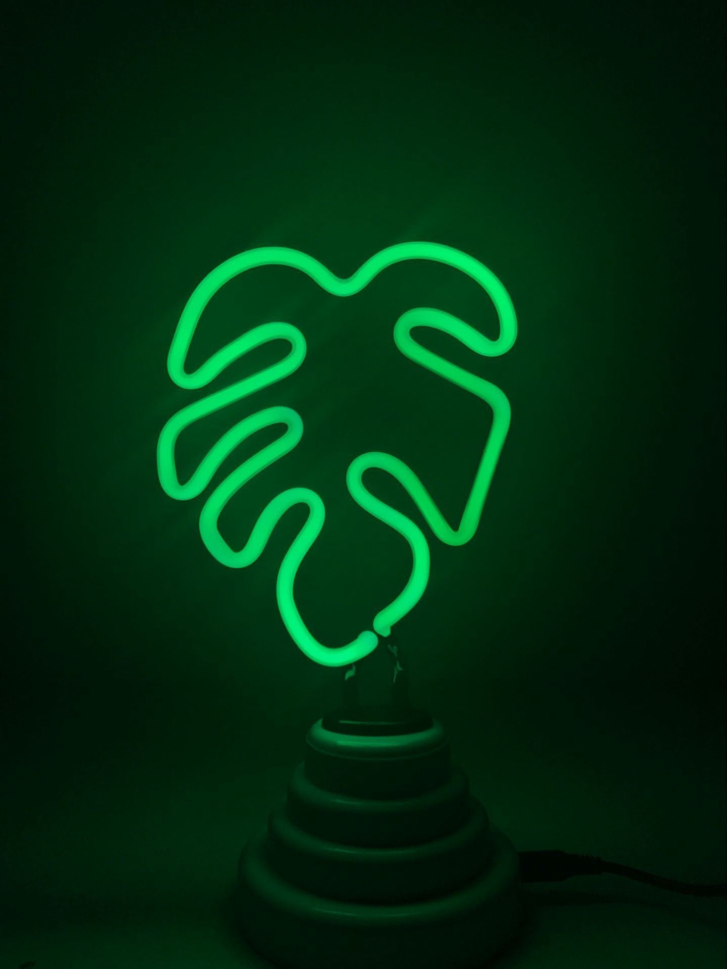 Fig Leaf 6.5 KGs Neon Light Desk Lamp Logo Signage Letters