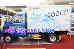 RHD Dongfeng Diesel 4x2 Mini Light Refrigerator Truck EQ5032XXY