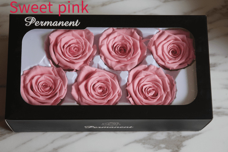 Natural preserved fresh flowers for Valentines day Never Withered Flowers Home Decoration
