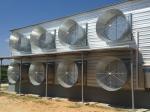 Galvanized Full Antomatic Steel Poultry Farm Shed Bird House Prefabricated