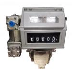 M-50-1 Stainless Steel Positive Displacement Flow Meter