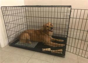 China Portable Dog Friendly Large Space Wire Mesh Kennels, Customized Outdoor Pet Play Cage, Pens wholesale