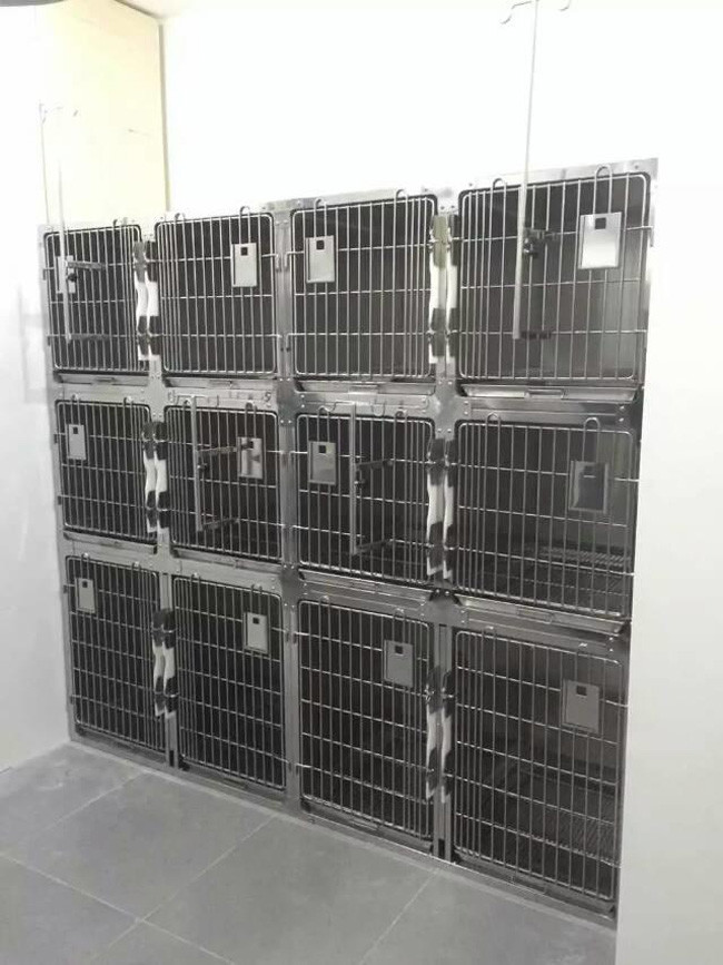 Combination Stainless Steel Animal Cages 2400 * 700 * 2140mm for Veterinary Clinic