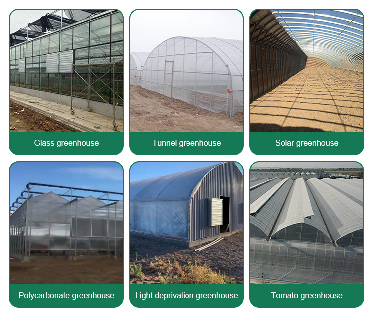 High Yield Hydroponic Greenhouse for Tomatoes Vegetables and Flowers in Any Season