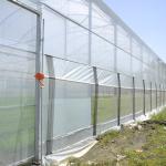 Hydroponic Complete Thailand Multi Span Greenhouse Side Ventilation Industrial