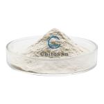 Industrial Agricultural Grade Chitosan Powder Carboxymethyl Chitin Natural Nano