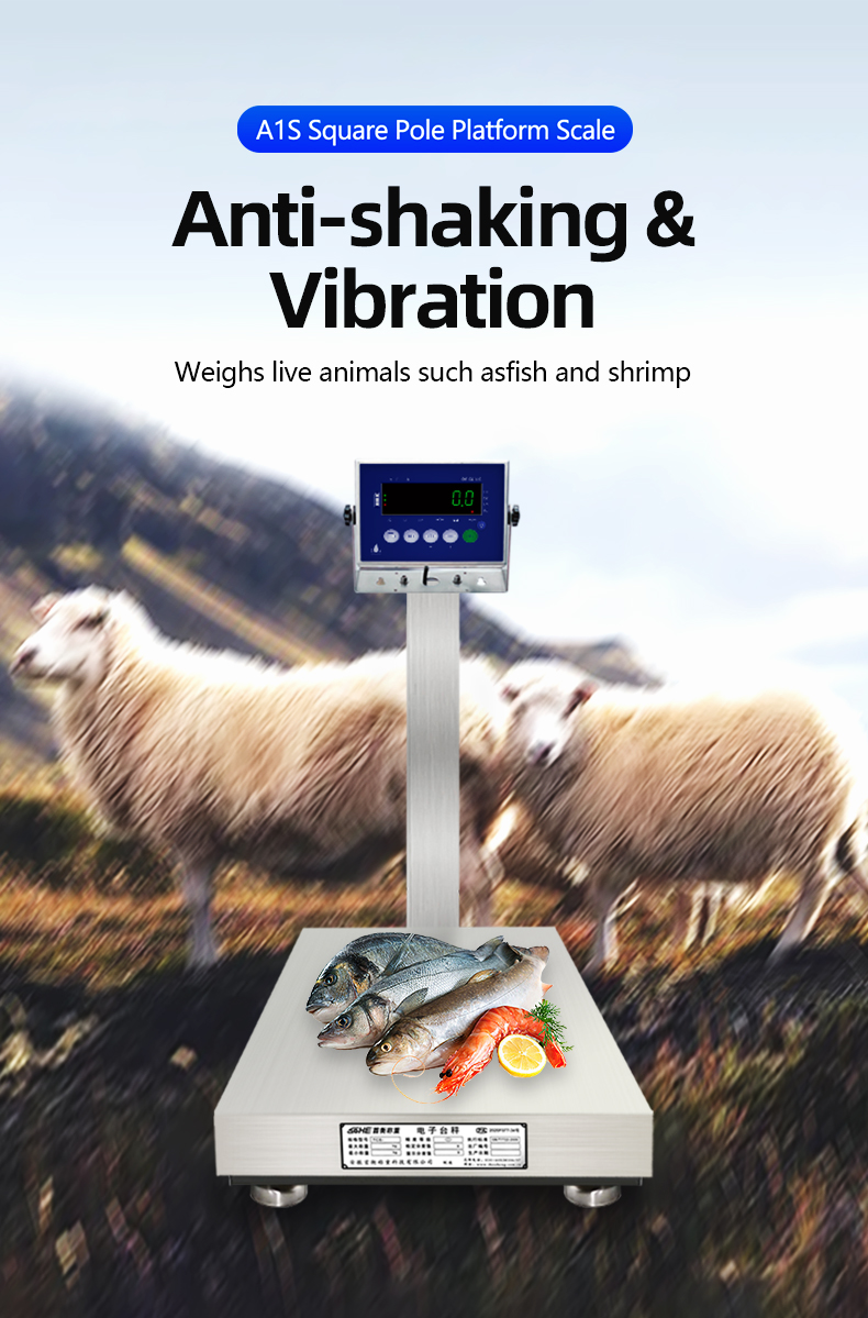 SOHE A1S 500KG 500*600 Stainless Steel Platform Scale for Seafood and Food Factories