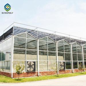 China Stable Hot Galvanized Steel Venlo Glass Greenhouse 3.0mm Thickness wholesale