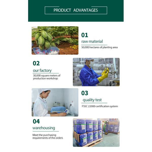 glucoamylase powder 1000000U/G Food Grade Industrial Grade Enzyme Activity Can Be Customized