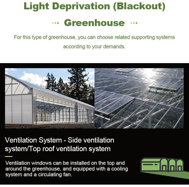 Hot Galvanized Steel Pipes Auto Light Deprivation Greenhouse With Blackout Curtain
