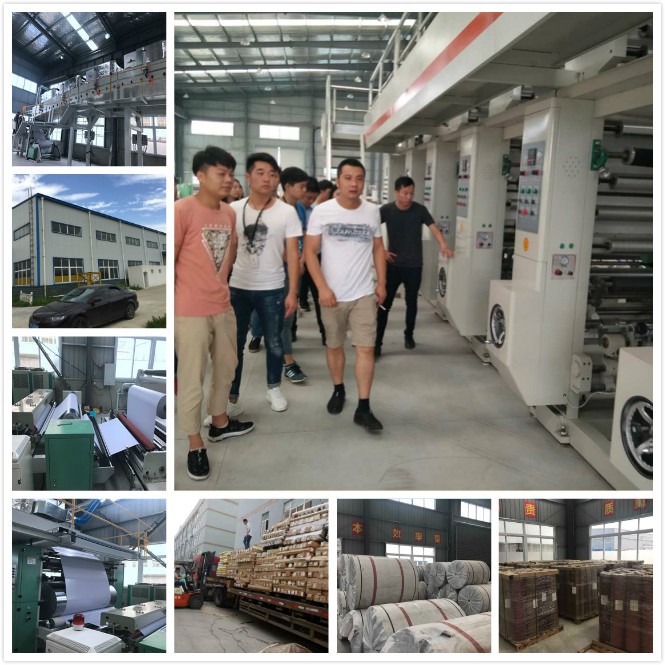 Customized Length Self-Adhesive PET Tint Film for Car Window Privacy Protection and Anti-UV