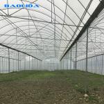 Multispan Sprinkler Irrigation 9m Agricultural Greenhouse Multi Span Greenhouse