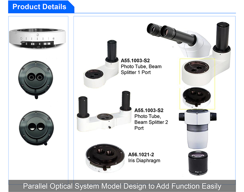 A23.1001-F Flourescent Stereoscopic Zoom Microscope Wf15x
