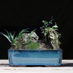 House and Garden Pots, Outdoor & Indoor Ceramic Bonsai Pots, Planters, Glazed
