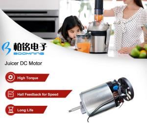 China High Torque Slow Juicer DC Motor wholesale