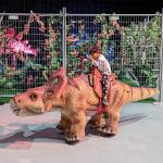 Custom Electric Walking Dinosaur Ride Animatronic Triceratops Dinosaurs For